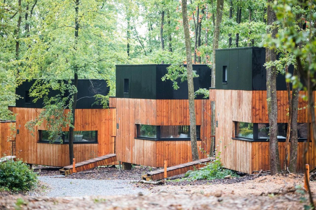 Forest Cube Oignies Esterno foto